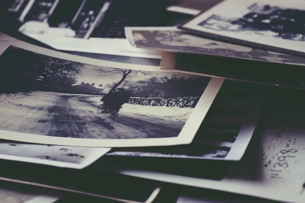Examples of Success Stories and Case Studies